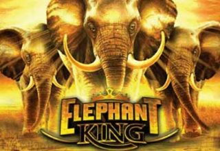 Elephant King