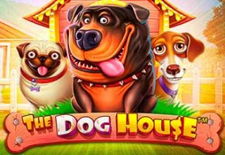 The Dog House